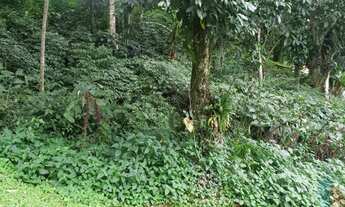 Imagem 2: Ótimo Lote de Terreno