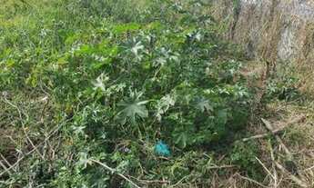 Imagem 4: Terreno à venda, 3750 m² por R$ 6.400.000,00 - Alphaville - Santana de Parnaíba/SP