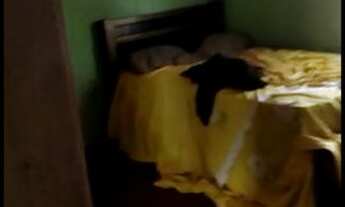 Imagem 3: Vendo sítio com casa