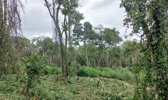 Imagem: 9otes em Ibiúna de 500m² - Prox a Represa