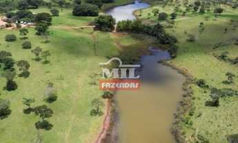 Imagem 3: Fazenda 303 alqueires (1467 hectares) Vila Propício-GO