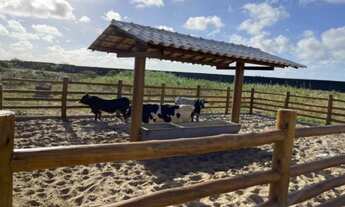 Imagem 5: Lote Fazenda Real 1