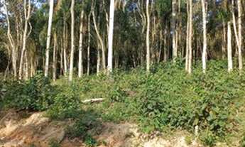 Imagem 4: Terreno em Ibiuna de 1.000m2 plano , próximo a comércio 1G5G80J