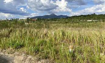 Imagem 2: Terreno à venda, 22000 m² por R$ 1.300.000,00 - Centro - Quatro Barras/PR