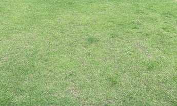 Imagem: Terreno aclive à venda no Gênesis II