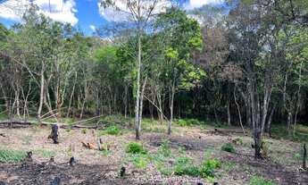 Imagem 3: Promoção de sitio em Gravatai