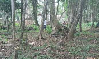 Imagem 4: Terreno em Ubatumirim