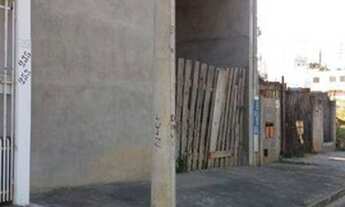 Imagem 3: Cajuru (Sorocaba