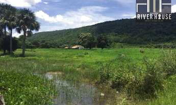 Imagem: Fazenda - venda na região de Porto de fora