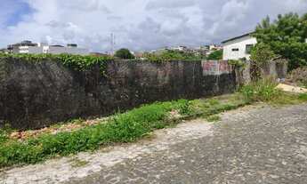 Imagem 3: Terreno na Avenida Canavieiras