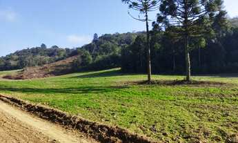 Imagem 3: Área para formar chácara com 67.000m² Jardim são roque- Campo novo