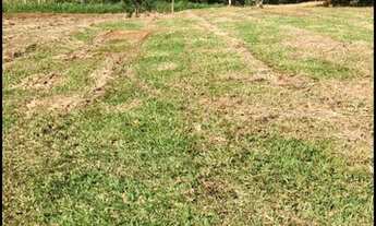 Imagem 4: Vendo terreno barato