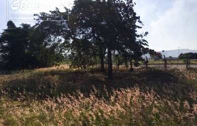 Imagem 6: Limeira - Terreno Padrão - Graminha