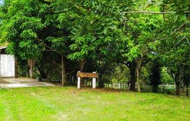 Imagem 7: Sítio com 2 dormitórios à venda, 23866 m² por R$ 1.300.000 - Vertentes das Águas - São Ped