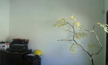 Imagem 7: Galpão à venda, 270 m² por R$ 850.000,00 - Jardim Vera Cruz(Zona Leste) - São Paulo/SP