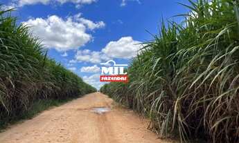 Imagem: Fazenda 516 Alqueires ( 2.501 hectares )