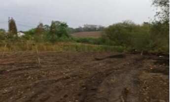 Imagem 4: Terreno à venda, 7046 m² por R$ 450.000,00 - Residencial Paineiras - Piracicaba/SP