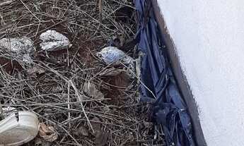 Imagem 2: Terreno c/ 303 m" Jardim primavera