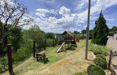 Imagem 4: SãO LEOPOLDO - Padrão - Pinheiro