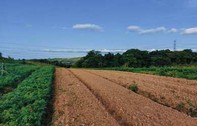 Imagem 2: Terreno de até 1000m² em COTIA/SP - Pagamento Facilitado!