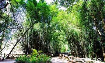 Imagem 4: Terreno no condomínio Saint Patrick