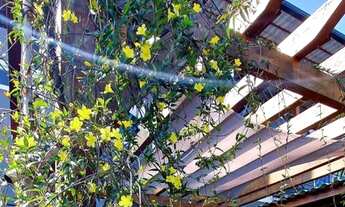 Imagem 2: POUSADA EM PONTA DAS CANAS- SÓ FATURAR