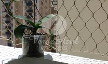 Imagem 7: Apartamento - Centro - Campinas