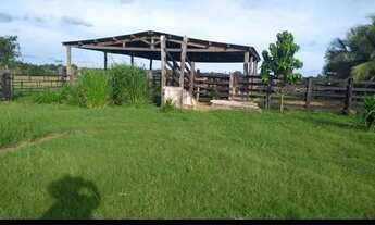 Imagem 2: Fazenda para pecuária com 58 alqueires de terra em Tucumã no Pará