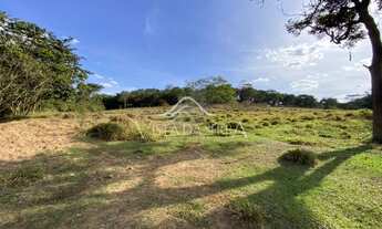 Imagem 6: Em Barreiras - Brumadinho