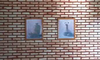 Imagem 3: Em Planaltina DF vendo excelente e linda chácara com muita água 6,8 hectares