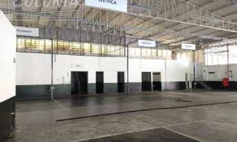 Imagem 7: Santo André - Galpão/Depósito/Armazém - Paraíso