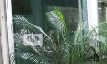 Imagem 7: Galpão Industrial 5.080 m² - Bairro Polvilho Cajamar SP