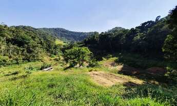 Imagem: Sítio com 3 dormitórios à venda, 60000