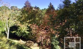 Imagem 4: Casa com 4 dormitórios à venda, 442 m² por R$ 1.900.000,00 - Vila Medica - Campos do Jordã