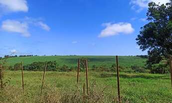 Imagem 4: SITIO PLANTIL DE GRÃOS E CANA 16 ALQUEIRES PAULISTA. Região Município de Bernardino de Cam