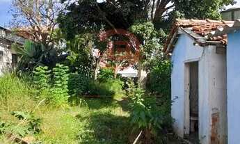 Imagem 5: Terreno plano 10x50m - Vila Ré