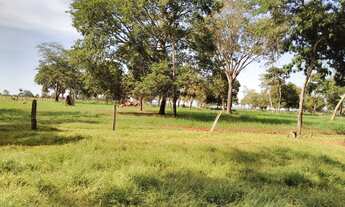 Imagem 7: Vendo fazenda 41,5alqueires 100%plana toda formada casa curral