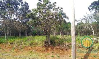 Imagem 5: Ótimo terreno plano em condomínio, para sua chácara/casa local maravilhoso!