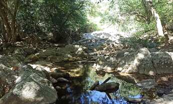 Imagem: Fazenda à venda, 120 Alq por R$ 4.800.000