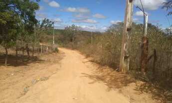 Imagem 3: TERRENO EM MISSAO VELHA ( MAIS DE MEIA TAREFA