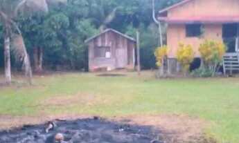 Imagem 3: Sítio no Paricatuba em Iranduba - R$ 500.000,00