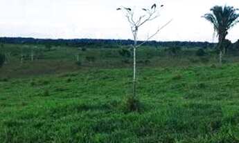 Imagem: Lote de Terra