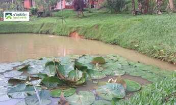 Imagem 6: Chácara à venda no bairro São João da Graciosa - Morretes/PR