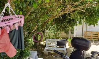 Imagem 7: Troco terreno, com casa de madeira na Palhoça