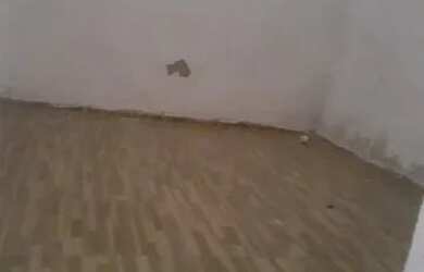 Imagem 2: Casa com 2 dormitórios