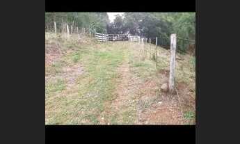 Imagem 2: Vendo sítio 7 alqueires em Nova Cantu