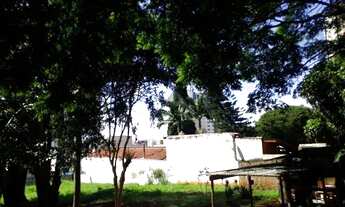 Imagem 5: área - Parque Rural Fazenda Santa Cândida - Campinas