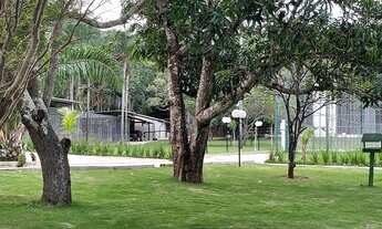 Imagem: 19 alqueires - silvania