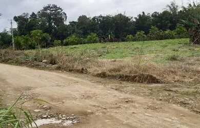 Imagem 6: Chácara à venda no bairro Cruz Alta - Morretes/PR