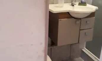 Imagem 2: Aluga-se casa Casa com 1 dormitório